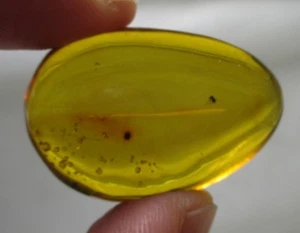 3.5 gram amber with insect specimen from the Dominican Republic - Picture 1 of 5