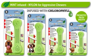 FLAVORIT NYLABONE STYLE MINT INFUSED FLAVOURED NYLON TOUGH DOG CHEW TOYS BREATH - Picture 1 of 6