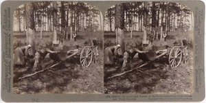 Usa.North Carolina.Caroline du Nord.Gathering Turpentine.Récol.Photo Stereo view - Picture 1 of 2