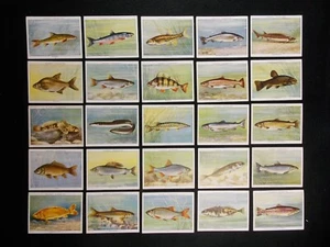 Carte Sigarette Giocatori Pesce d'acqua dolce 1935 Set Completo 25 - Foto 1 di 2
