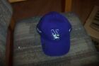 BRAND NEW Bridgestone adjustable Northwestern Wildcats summer special  hat deal