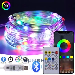 Guirnalda de luces de navideña Led RGB línea de cuero para fiesta con Bluetooth - Picture 1 of 44