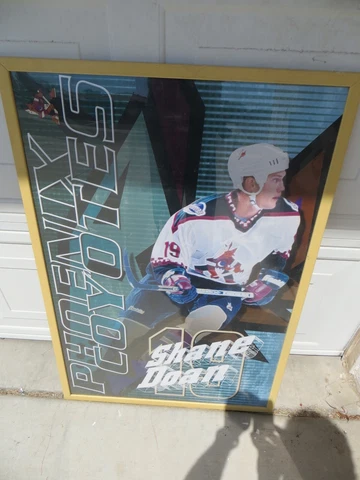 Vintage Shane Doan Phoenix Coyotes Hockey Poster 24" X 36" - READ Cover