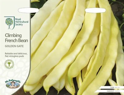 Mr Fothergills -  Vegetable - RHS Climbing French Bean Golden Gate - 50 Seeds - Image 1 of 2
