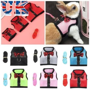 Ferret Pet Lead Strap Hamster Vest Bunny Mesh Chest Rabbit Leash Collar Harness - Picture 1 of 17