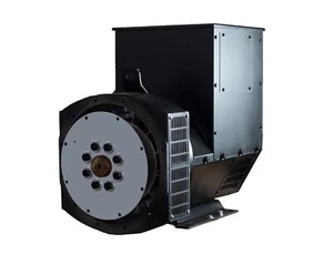 Generator Alternator Head CGG224F 60KW Single Phase 120/240V Industrial + - Picture 1 of 3