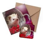 1 X Greeting Card & Coaster Set - Cute Baby Hedgehog Pygmy Albino #14360