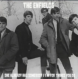 THE ENFIELDS She Already Has Somebody vinyl 7" garage punk folk rock Ted Munda - Picture 1 of 6