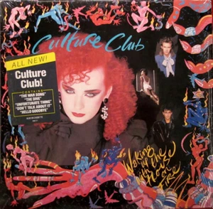 Culture Club Waking Up With The House On Fire Vinyl 1984 US Press Used/Like New - Picture 1 of 7