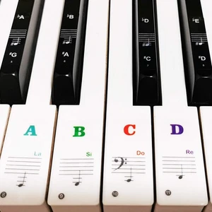 Klavier Keyboard Aufkleber für 88/61/54/49/37 Tasten, fetter großer Buchstabe mehrfarbig  - Bild 1 von 6