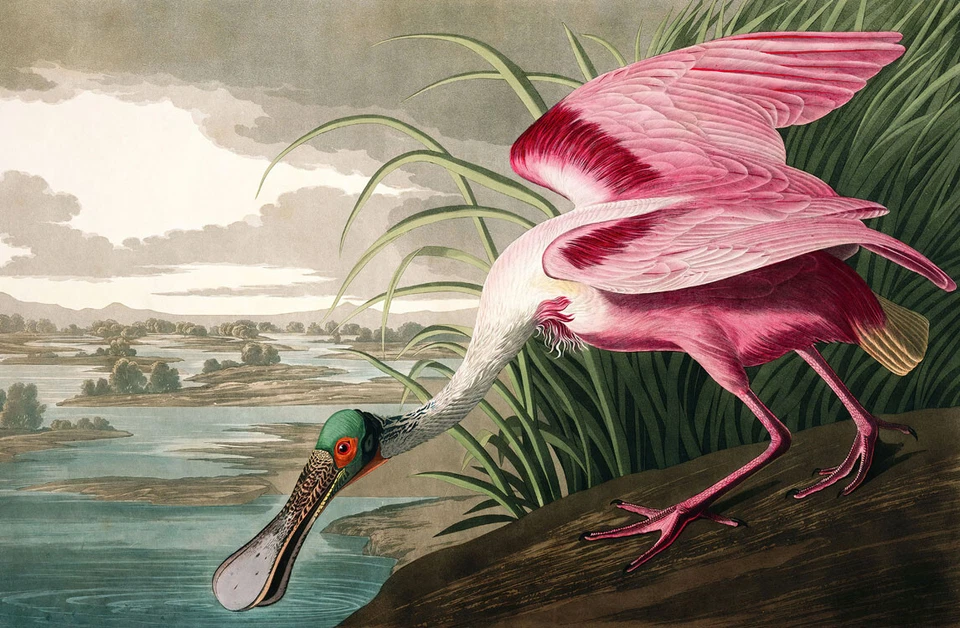 Cuchara rosada final pintura al óleo arte HD impreso en lienzo L3454 Foto 1 de 4