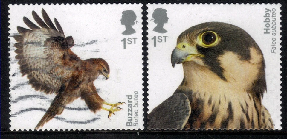 GB 2019 QE2 1st x 2 Birds of Prey Hobby & Buzzard S / A SG 4210 /1 CV £30 ( K155 - Image 1 of 1