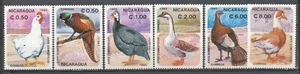 NICARAGUA 1985 - DOMESTIC BIRD OF NICARAGUA / AVES DOMESTICAS - POSTFRIS Hk600a - Imagen 1 de 1