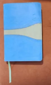 HEILIGE BIBEL NIV italienisches Duo Ton blau & Chartreuse roter Buchstabe Zondervan 2001 - Bild 1 von 11