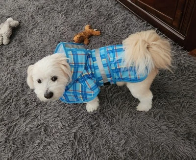 CoolTail Impermeable Perro Medio Azul Cuadros Tiras Reflectantes Ajustable Impermeable Foto 1 de 4