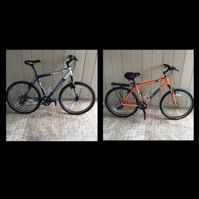 Bicicleta Trek 2005 modelo 3700 19,5 + bicicleta Gary Fisher 18 pulgadas Advance Silver Ser 2005 Foto 1 de 4