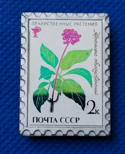 Ginseng Panax Traditional Chinese Medicine Herbs 人蔘屬 Soviet Pin Badge USSR - Picture 1 of 4