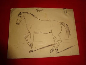 ANONYME - Cheval espagnol. - Imagen 1 de 2