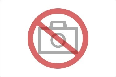 ARMADIO RACK 19" 6U PROFONDITA' 450 MM DA ASSEMBLARE GRIGIO DISASSEMBLATO SERIE  - Immagine 1 di 2