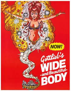 Folleto / Folleto / Anuncio Genie Gottlieb Pinball - Como nuevo - Imagen 1 de 3