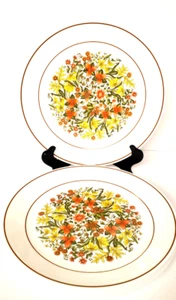 Corelle Indian Summer Dinner Plates 10 1/4" Quantity 8 - Picture 1 of 18