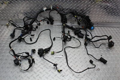 Triumph Thunderbird 2013 ABS motor principal arnés de cableado motor telar de cable Foto 1 de 4