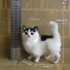 Simulation Rabbit Owl Cat Fox Ornament Furs Squatting Model Home Decoration A wi