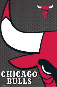 Chicago Bulls - 2014 Logo Affiche - 22x34 Basketball NBA 13761