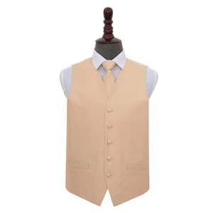 Set gilet e cravatta da uomo matrimonio DQT tessuto tinta unita check champagne - Foto 1 di 4