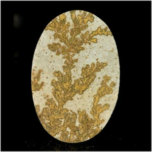 83.15Cts Natural Russian Dendritic Opal Oval Cabochon Gemstone Untreated - Afbeelding 1 van 2