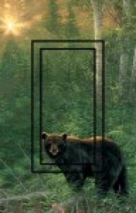 Black Bear 2 SwitchStix Einzelwippe - Bild 1 von 1