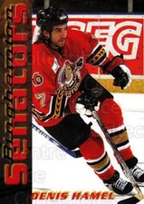 2003-04 Binghamton Senators #6 Denis Hamel