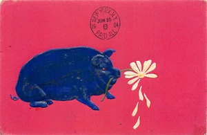 Geprägte Kunst Postkarte glänzend blau Schwein isst ein Gänseblümchen, gedruckt auf rotem Papier UDB - Bild 1 von 2