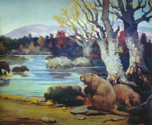 Charles R Knight Castoroides : Giant Beaver Illustration : Art Print 1921 - Picture 1 of 2
