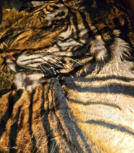 Manta - Tigre de Bengala Gruesa 60”x51” Suave - Hermosa - Brillante - Imagen 1 de 6