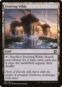 (2x) FOIL EVOLVING WILDS -Forgotten Realms – MTG Magic the Gathering Card - Picture 1 of 5