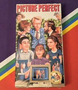 Picture Perfect (1998 VHS) Films For Families Dave Thomas Richard Karn - Sealed - Picture 1 of 13