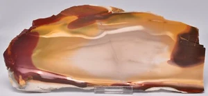 MOOKAITE Polished Slice, FOSSIL RADIOLARIAN Western Australia S960 - Bild 1 von 4