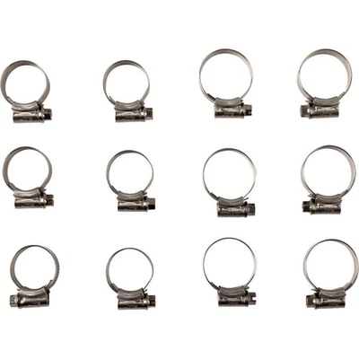 Kit de abrazadera de manguera de radiador Samco Sport para Kawasaki CK KAW-103 Foto 1 de 3