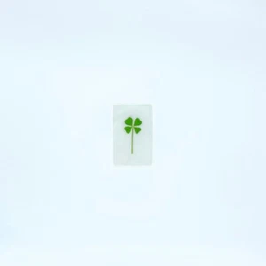 Echtes echtes 4 vierblättriges Kleeblatt Hochzeit Gastgeschenk St. Patricks Muttertagsgeschenke - Bild 1 von 4