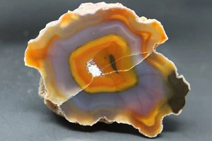 Condor agate collector specimen - Picture 1 of 4