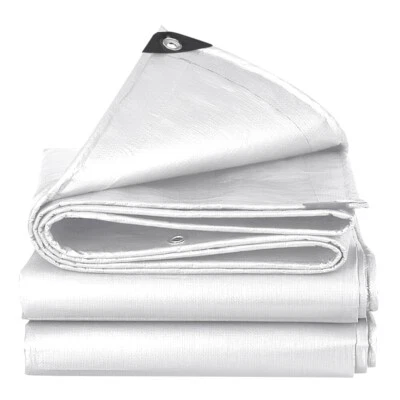 12 Mil Heavy Duty White Poly Tarp 20' x 40' Tarpaulin Canopy Shelter Cover Shade — 第 1/4 张图片