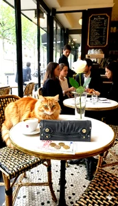 Vintage Juicy Couture Mad Money Geldbörse Schlüsselschloss Juicy Princess Leder schwarz - Bild 1 von 14