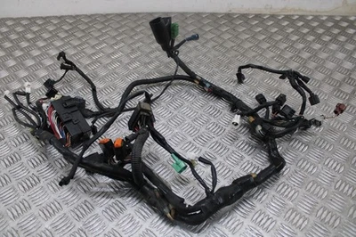 Arnés de telar de cableado Suzuki SV 650 X 2021 2017 - 2025 Foto 1 de 4