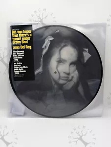 Lana Del Rey Did You Know That Theres A Tunnel Under Ocean Blvd Picture Vinyl 💕 - Imagen 1 de 3