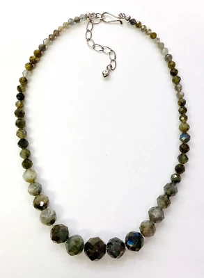 HSN Jay King Sterling Silver Labradorite Faceted Graduated 18" Necklace Foto 1 de 4