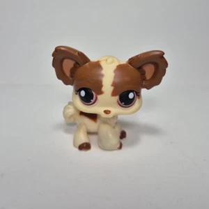 Auténtica figura de juguete LPS Littlest Pet Shop CHIHUAHUA perro 385 - Imagen 1 de 5