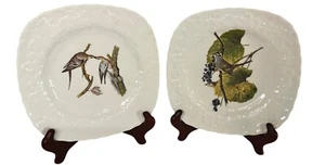 2 Meakin National Audubon Society Birds of America Square Plates Pigeon Sparrow - Picture 1 of 6