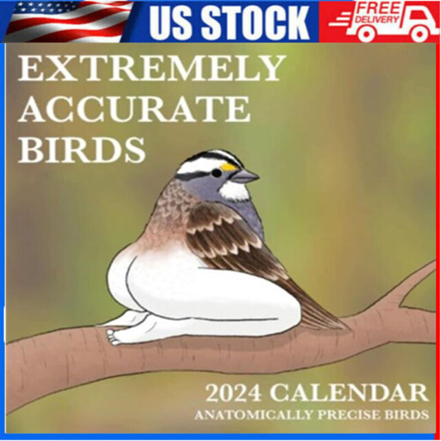 BIRD LOVERS BIRD WATCHERS WATERCOLOR 2024 MINI MAGNETIC CALENDAR