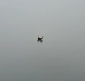 Aufzugtrieb, Schiebetrieb für ETA 2651, 2671, 2678, clutch wheel, part 407, NOS - Picture 1 of 3